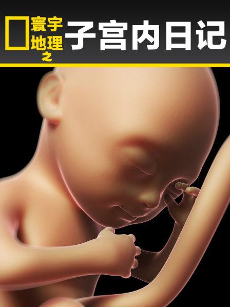 寰宇地理之子宫内日记