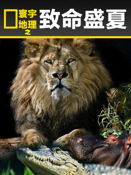 寰宇地理之致命盛夏
