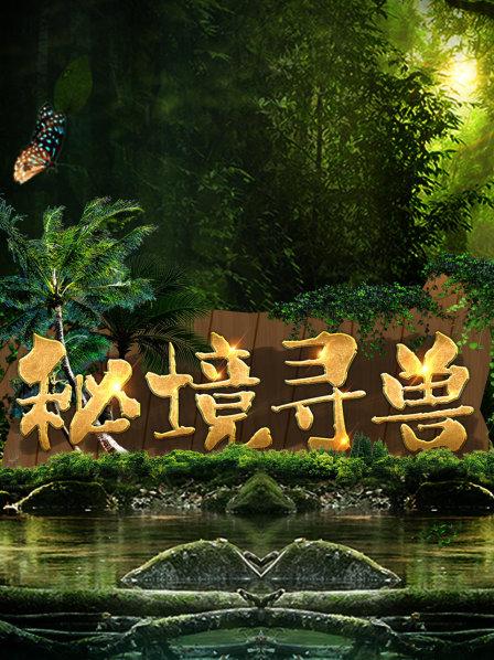 秘境寻兽