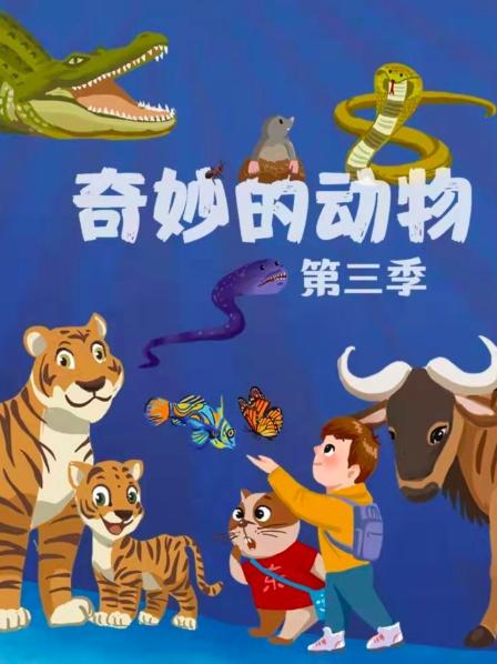 奇妙的动物 第三季