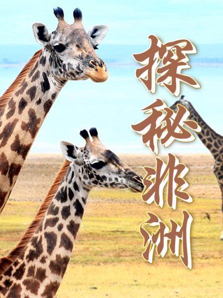 探秘非洲