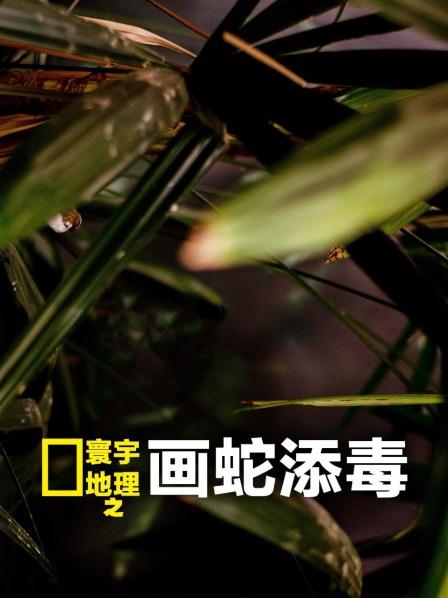 寰宇地理之画蛇添毒