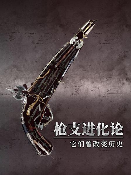 枪支进化论
