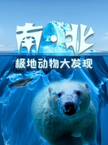 南、北极地动物大发现
