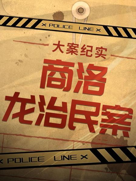大案纪实之商洛龙治民案