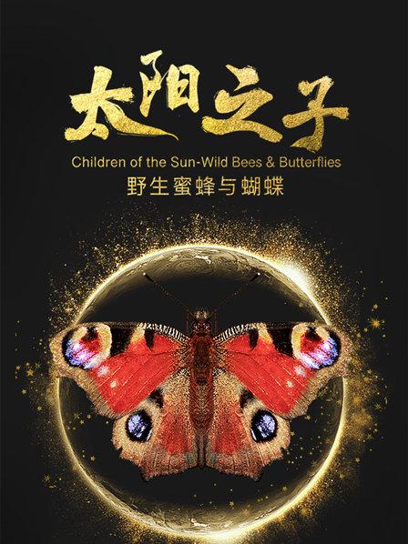 太阳之子—野生蜜蜂与蝴蝶