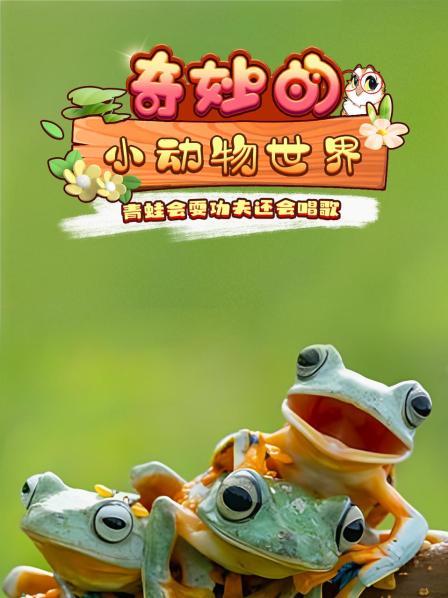 奇妙的小动物世界