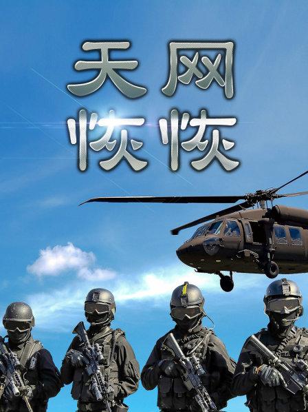 天网恢恢
