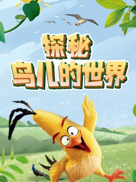 探索鸟儿的世界