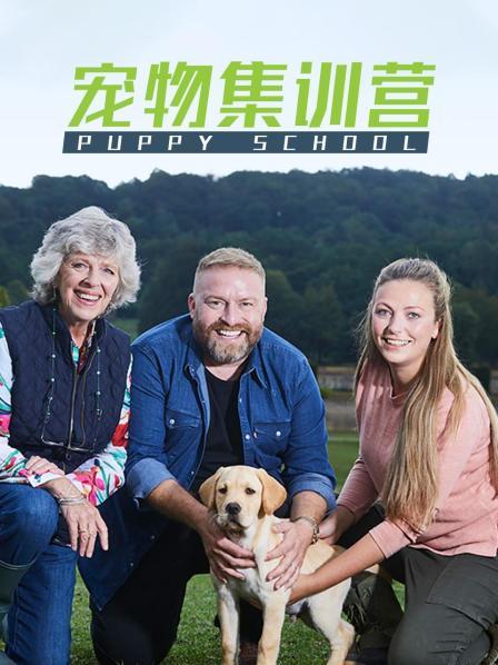 宠物集训营