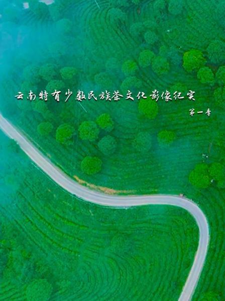 云南特有少数民族茶文化影像纪实 第一季