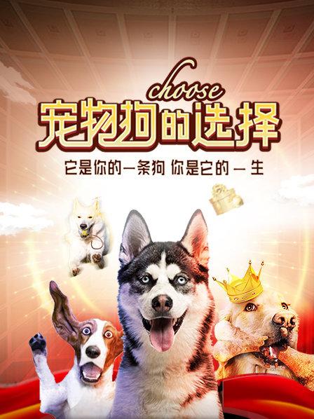 宠物狗的选择