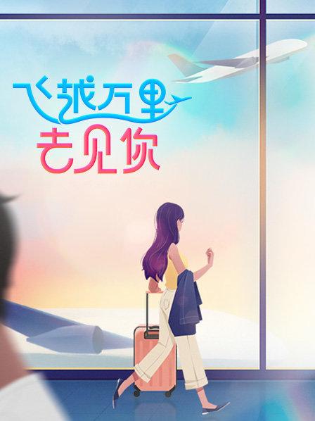 飞越万里去见你
