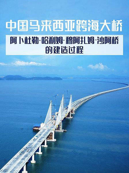 中国马来西亚跨海大桥-阿卜杜勒·哈利姆·穆阿扎姆·沙阿桥的建造过程