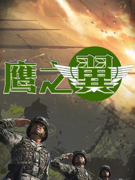 鹰之翼