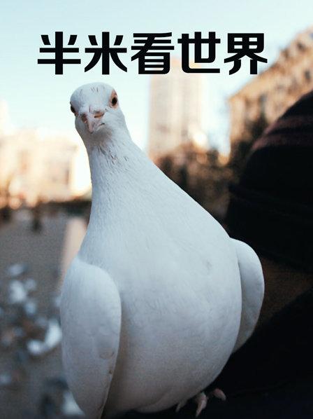 半米看世界