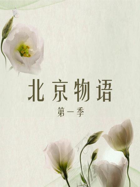 北京物语 第一季