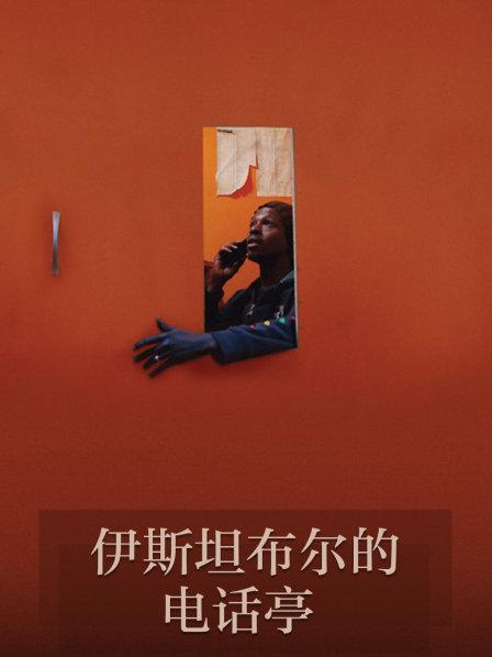伊斯坦布尔的电话亭