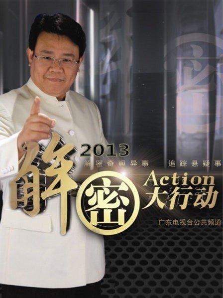 解密大行动 2013