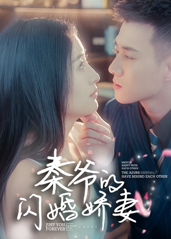 秦爷的闪婚娇妻