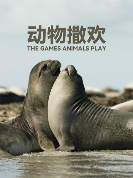 动物撒欢