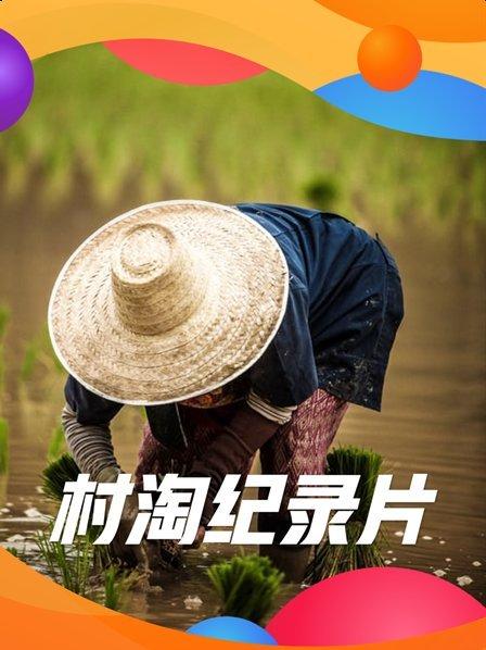 村淘纪录片