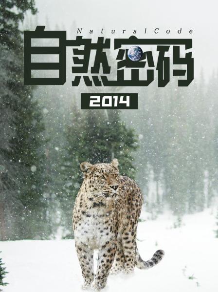 自然密码 2014