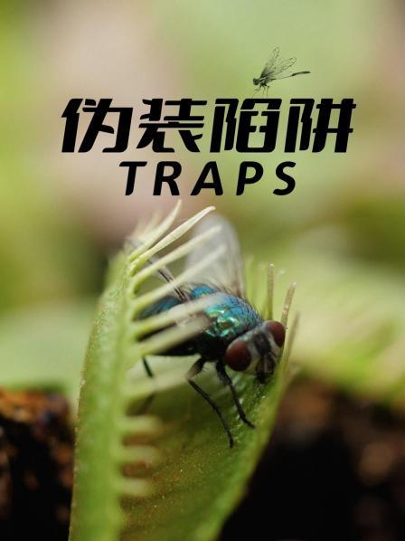 伪装陷阱