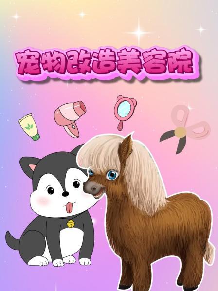 宠物改造美容院