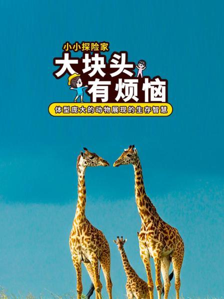大块头有烦恼：体型庞大的动物展现的生存智慧