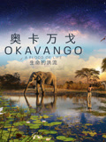 奥卡万戈：生命的洪流 中文版