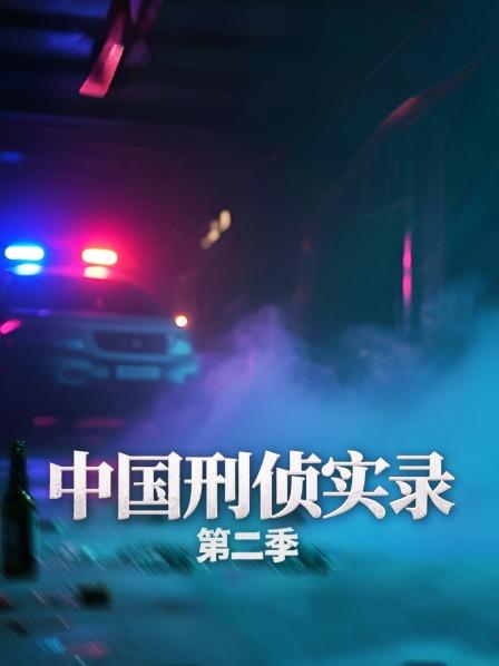 中国刑侦实录 第二季