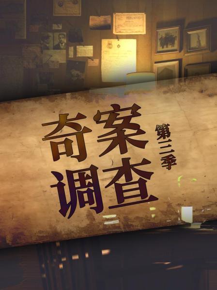 奇案调查 第三季