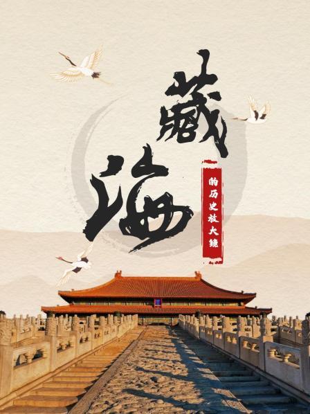 藏海的历史放大镜
