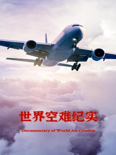 世界空难纪实