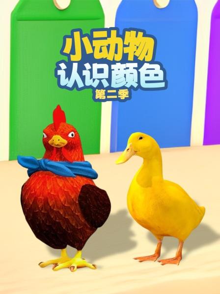 小动物认识颜色 第二季