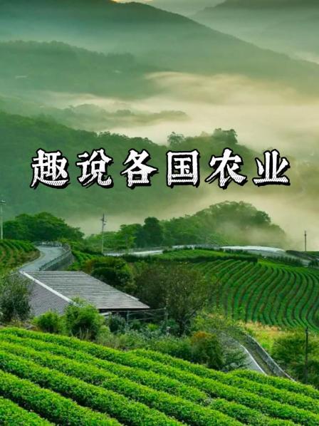 趣说各国农业