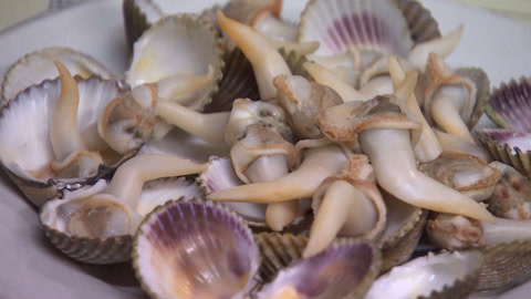 第1集 “颠倒”的海岛生活