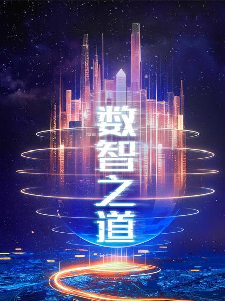数智之道