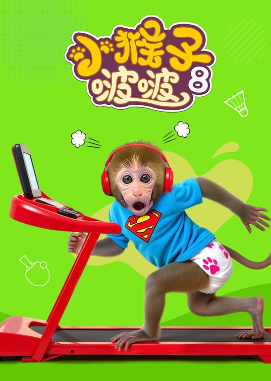 小猴子啵啵 第8季