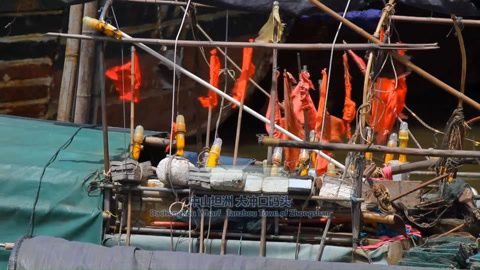 第1集 捕捞美味