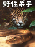 野性杀手中文版