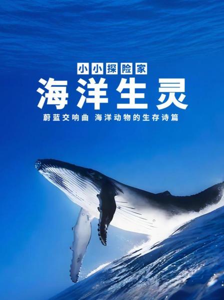 海洋生灵：蔚蓝交响曲