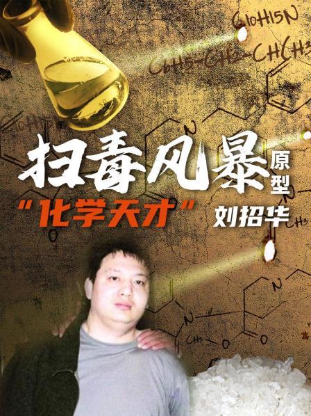 《扫毒风暴》原型：化学天才刘招华