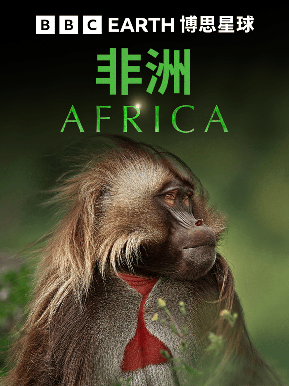 非洲（中配版）