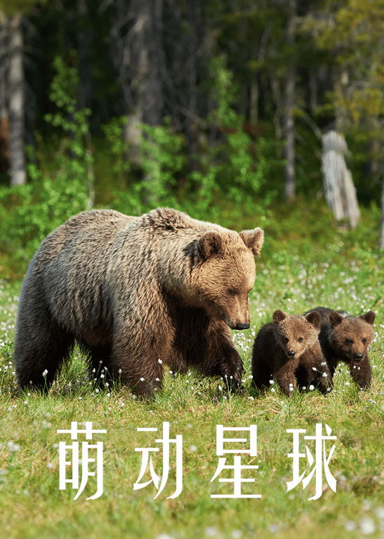 萌动星球