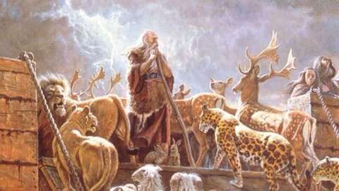 探索文明未知之寻找诺亚方舟