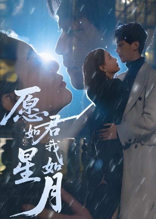 愿君如星我如月