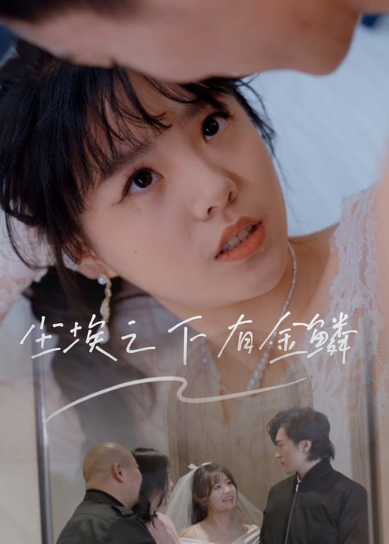 尘埃之下有金鳞