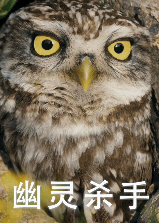 幽灵杀手